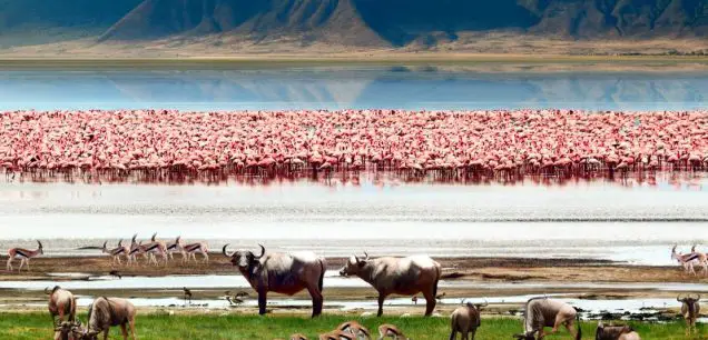 Ngorongoro Crater