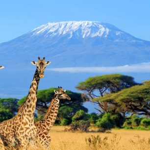 Mount Kilimanjaro