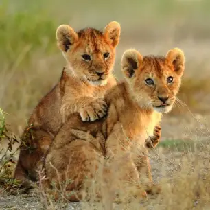 Serengeti National Park